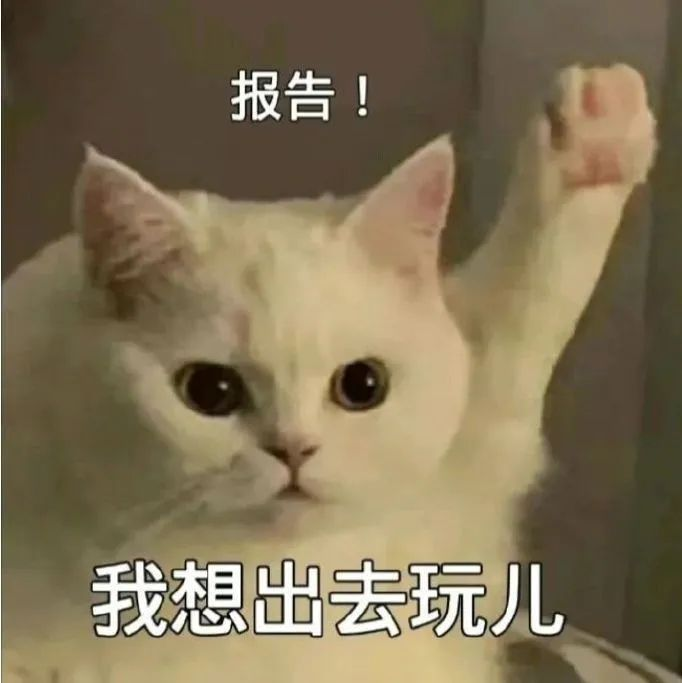图片1(1).png