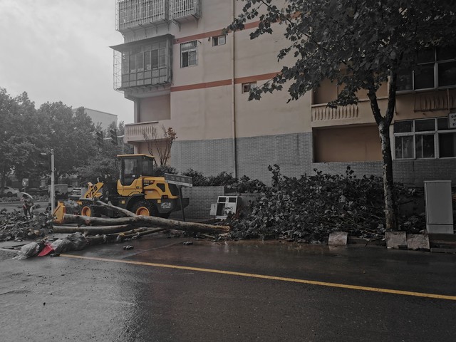 城市暴雨出行攻略_强降雨出行安全提示_出行提示