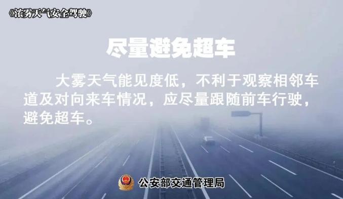 雾天安全行车_大雾天气驾驶技巧_出行提示