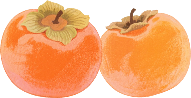 出行提示_秋冬交通安全指南_路面湿滑黏腻能见度骤降