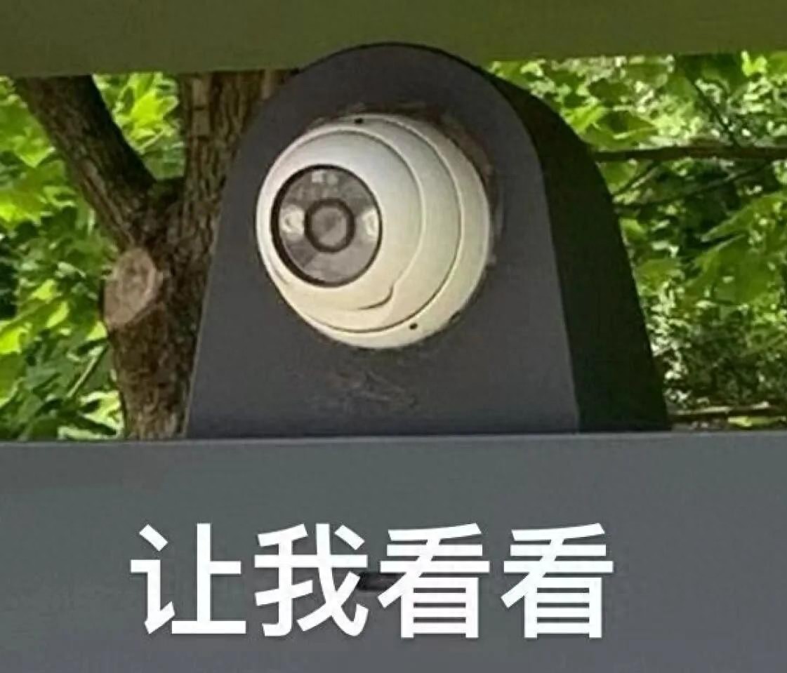 双号限行政策_限行_广州限行规则