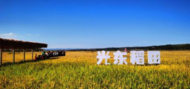 出行提示_延边州公安交通管理部门发布出行指南_2025年国庆中秋假期交通出行安全提示