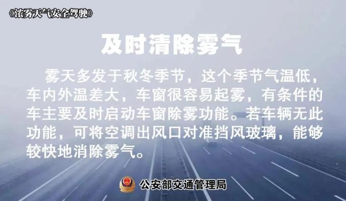 雾天安全行车_出行提示_大雾天气驾驶技巧