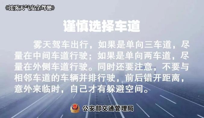 出行提示_大雾天气驾驶技巧_雾天安全行车
