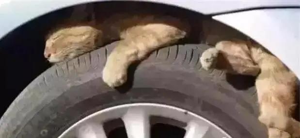 雪天出行指南_雪天驾车安全技巧_出行提示