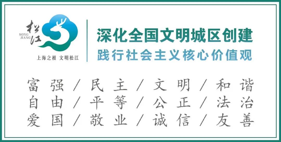 郊区道路事故预防_出行提示_清明2025年交通安全风险分析