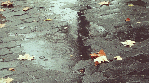 雨雾天气安全驾驶指南_雨天行车安全提示_出行提示