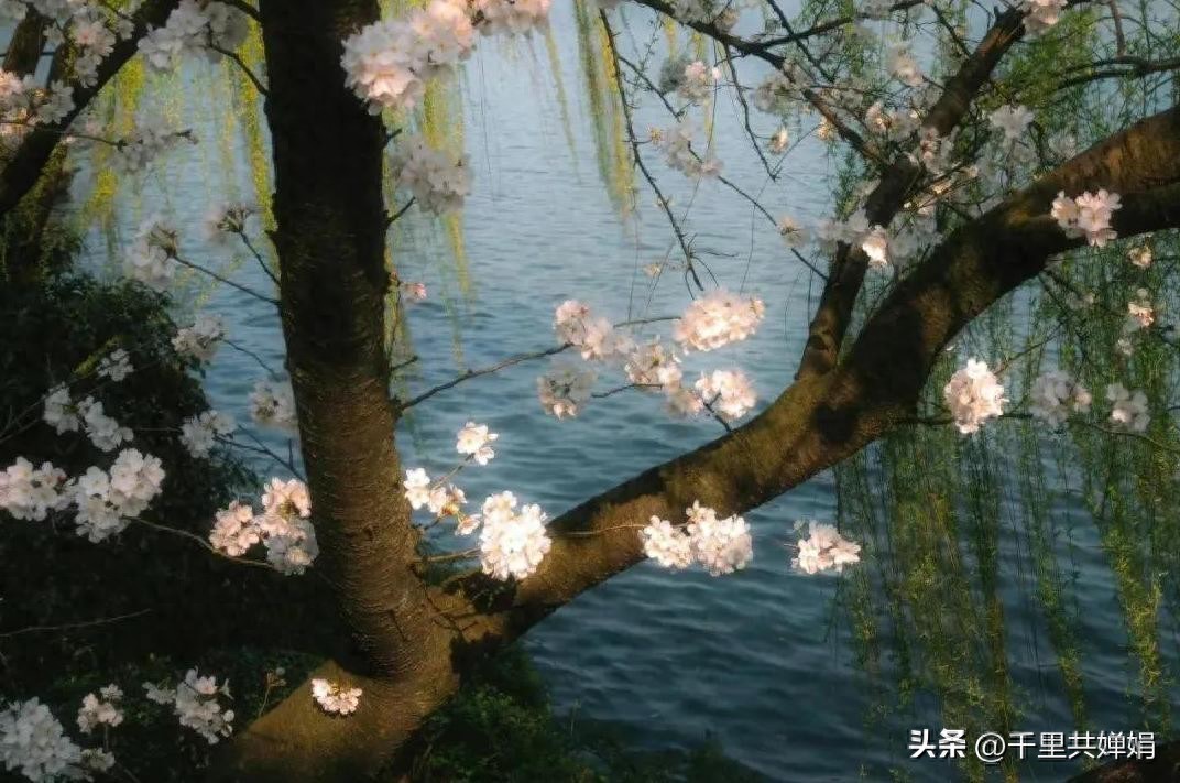 限行_天津限行尾号规则变动_天津限行新规字母车牌管理