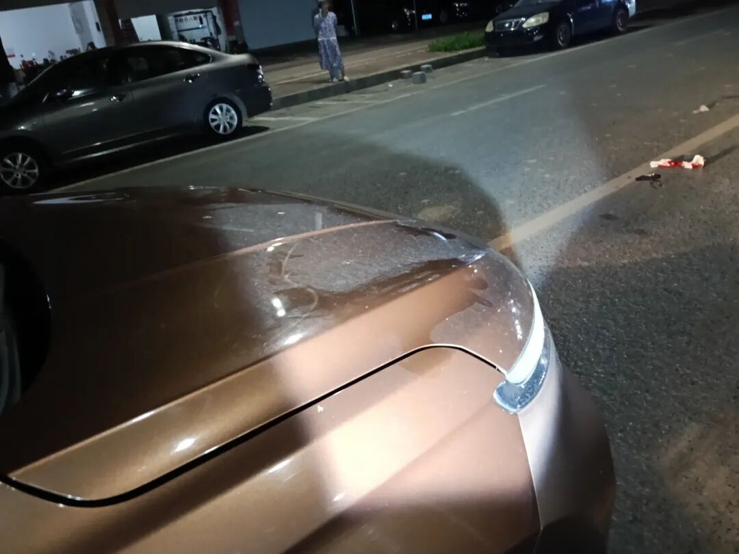 路况_行车安全注意事项_驾驶观察礼让行人