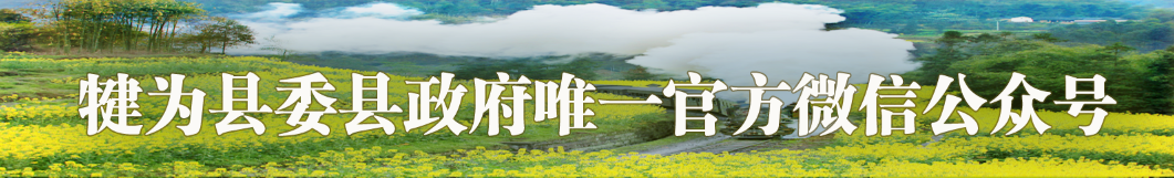 雨天驾驶注意事项_雨季行车安全指南_出行提示