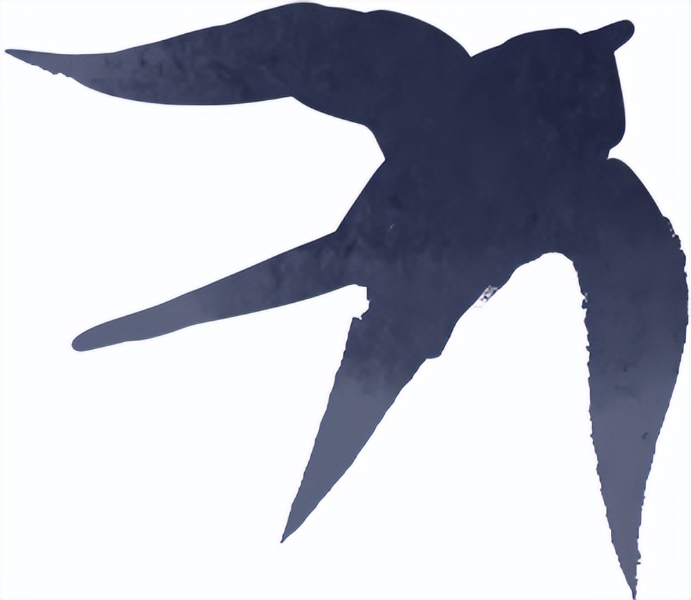 秋季雨雾行车安全_出行提示_雨雾天气驾驶注意事项