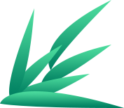 _出行提示_ 端午节铜仁出行安全指南 