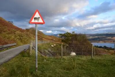 规范烧荒_交通安全隐患_出行提示
