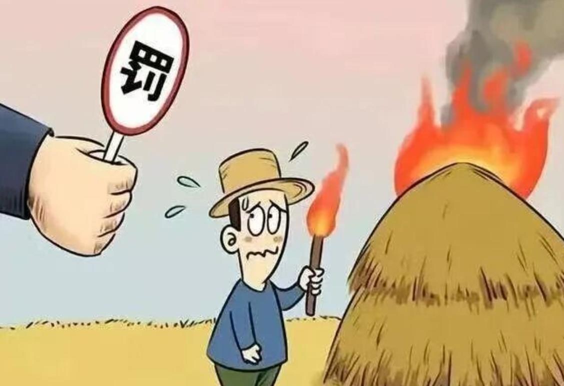 秸秆焚烧危害_出行提示_高速公路禁烧规定