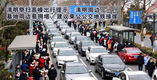 周末公园赏花出行_出行提示_清明祭扫交通管制