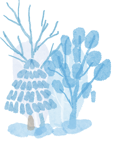 雾天行车安全_雪天行车安全_出行提示