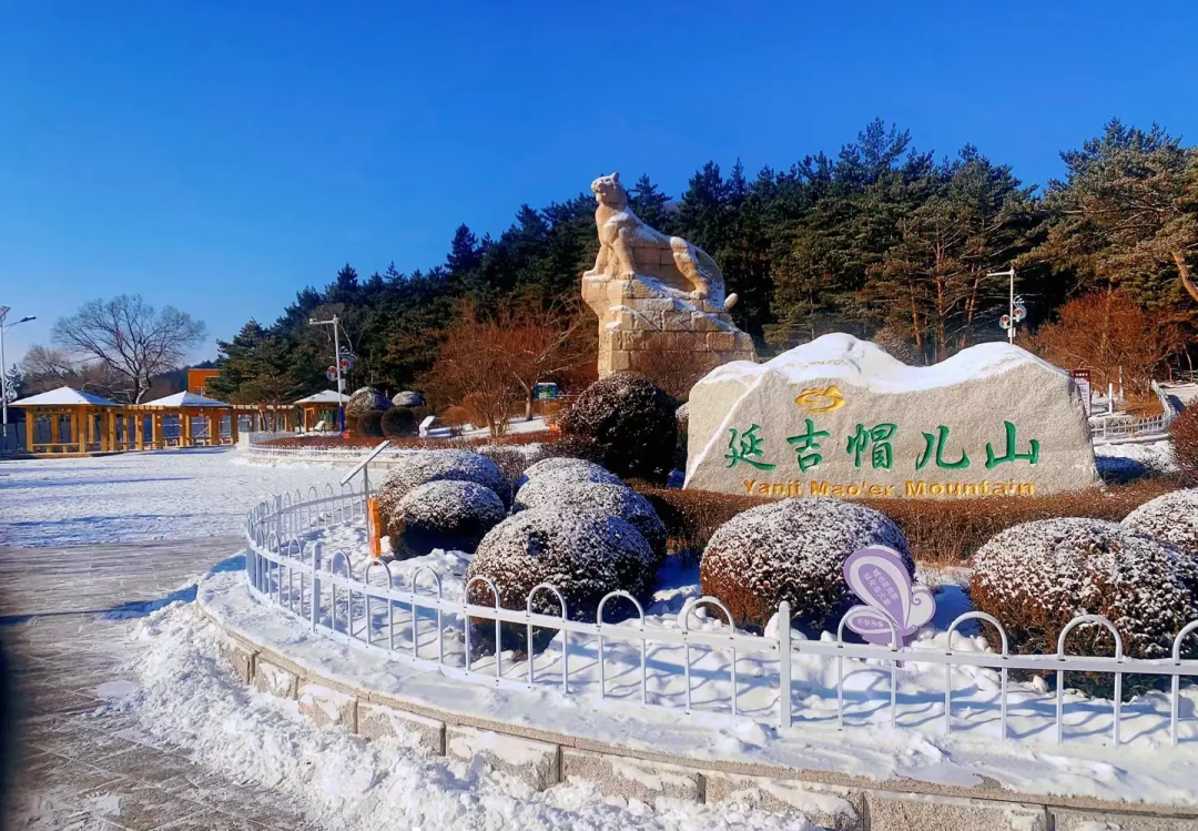 延边元旦假期道路交通安全提示_2026年元旦延边交警安全出行攻略_出行提示