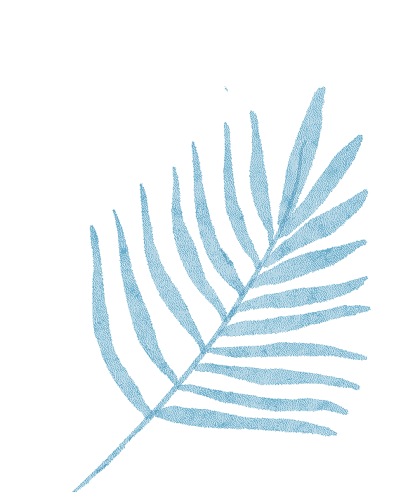 冬季行车安全_雪天驾驶技巧_出行提示