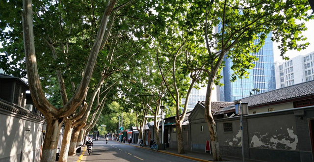 北京限行政策外地车规定_北京限行政策区域划分_限行