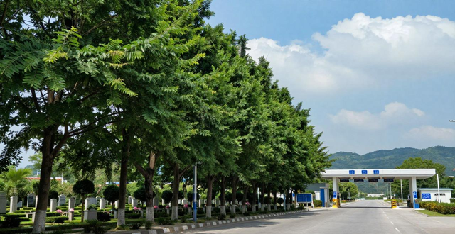 2024年清明高速免费政策_高速清明出行注意事项_出行提示