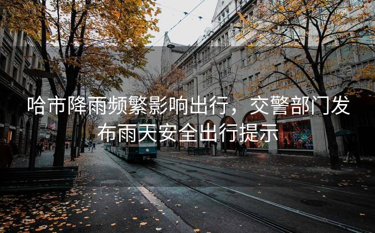 哈市降雨频繁影响出行，交警部门发布雨天安全出行提示