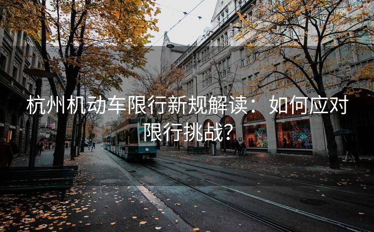 杭州机动车限行新规解读：如何应对限行挑战？