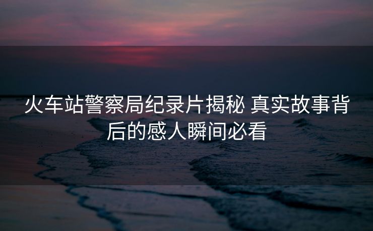 火车站警察局纪录片揭秘 真实故事背后的感人瞬间必看