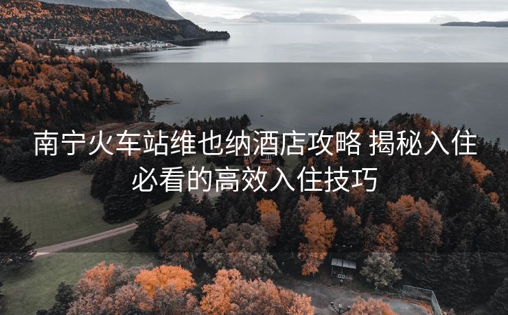 南宁火车站维也纳酒店攻略 揭秘入住必看的高效入住技巧