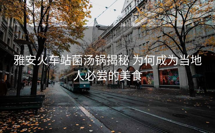 雅安火车站菌汤锅揭秘 为何成为当地人必尝的美食
