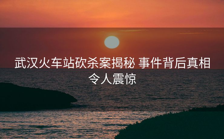 武汉火车站砍杀案揭秘 事件背后真相令人震惊